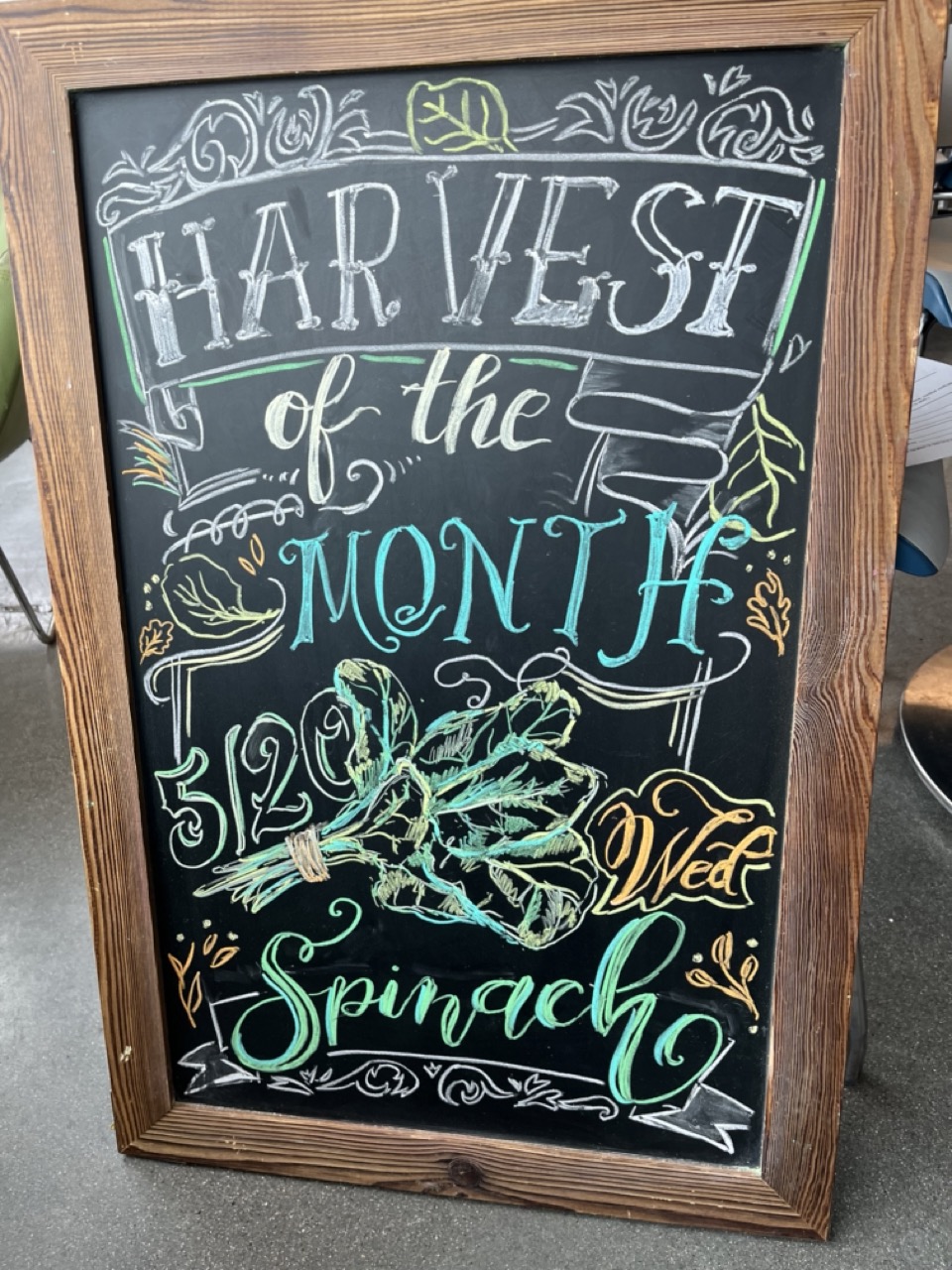 🥬 Harvest of the Month - Spinach